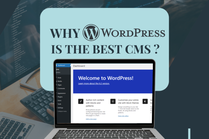 Why wordpress is the best cms