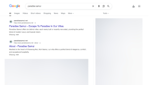 Hotel website 4