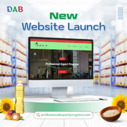 professionalexpertprogress website