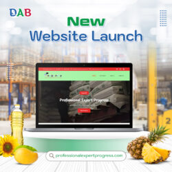 professionalexpertprogress website