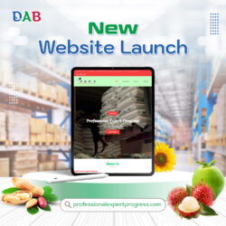 professionalexpertprogress website