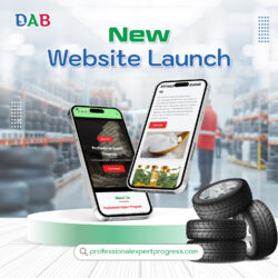 professionalexpertprogress website