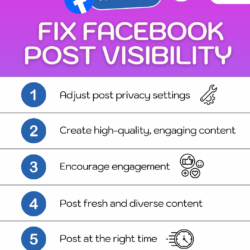 How to Fix Facebook Post Visibility info-graphic