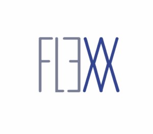 flexx logo